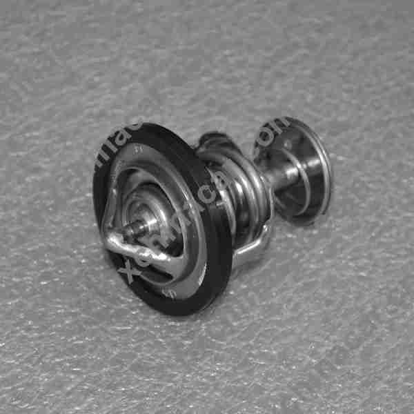 Zespół termostatu - E4G16-1306020
